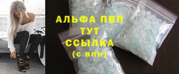 ПСИЛОЦИБИНОВЫЕ ГРИБЫ Богданович