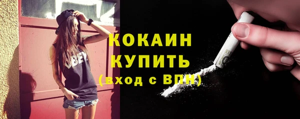 стаф Богородск