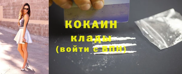 ПСИЛОЦИБИНОВЫЕ ГРИБЫ Богданович