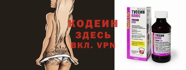 ПСИЛОЦИБИНОВЫЕ ГРИБЫ Богданович