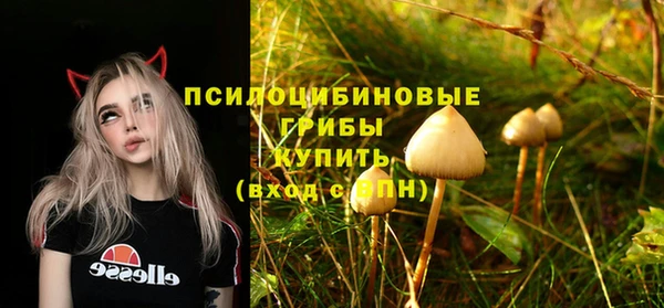 круглые Бородино
