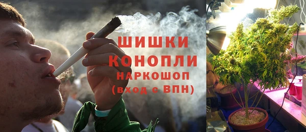 ПСИЛОЦИБИНОВЫЕ ГРИБЫ Богданович