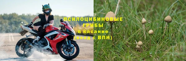 ПСИЛОЦИБИНОВЫЕ ГРИБЫ Богданович