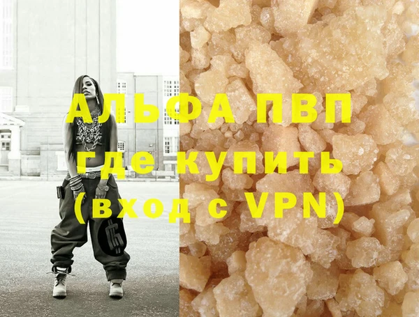 ПСИЛОЦИБИНОВЫЕ ГРИБЫ Богданович