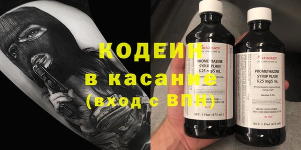 ПСИЛОЦИБИНОВЫЕ ГРИБЫ Богданович