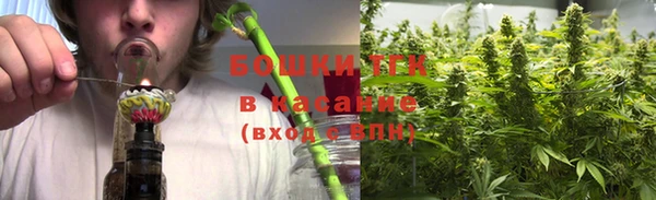 ПСИЛОЦИБИНОВЫЕ ГРИБЫ Богданович