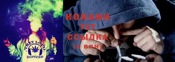 стаф Богородск