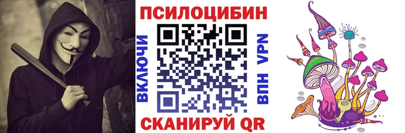 где найти наркотики  Козельск  Псилоцибиновые грибы мухоморы 